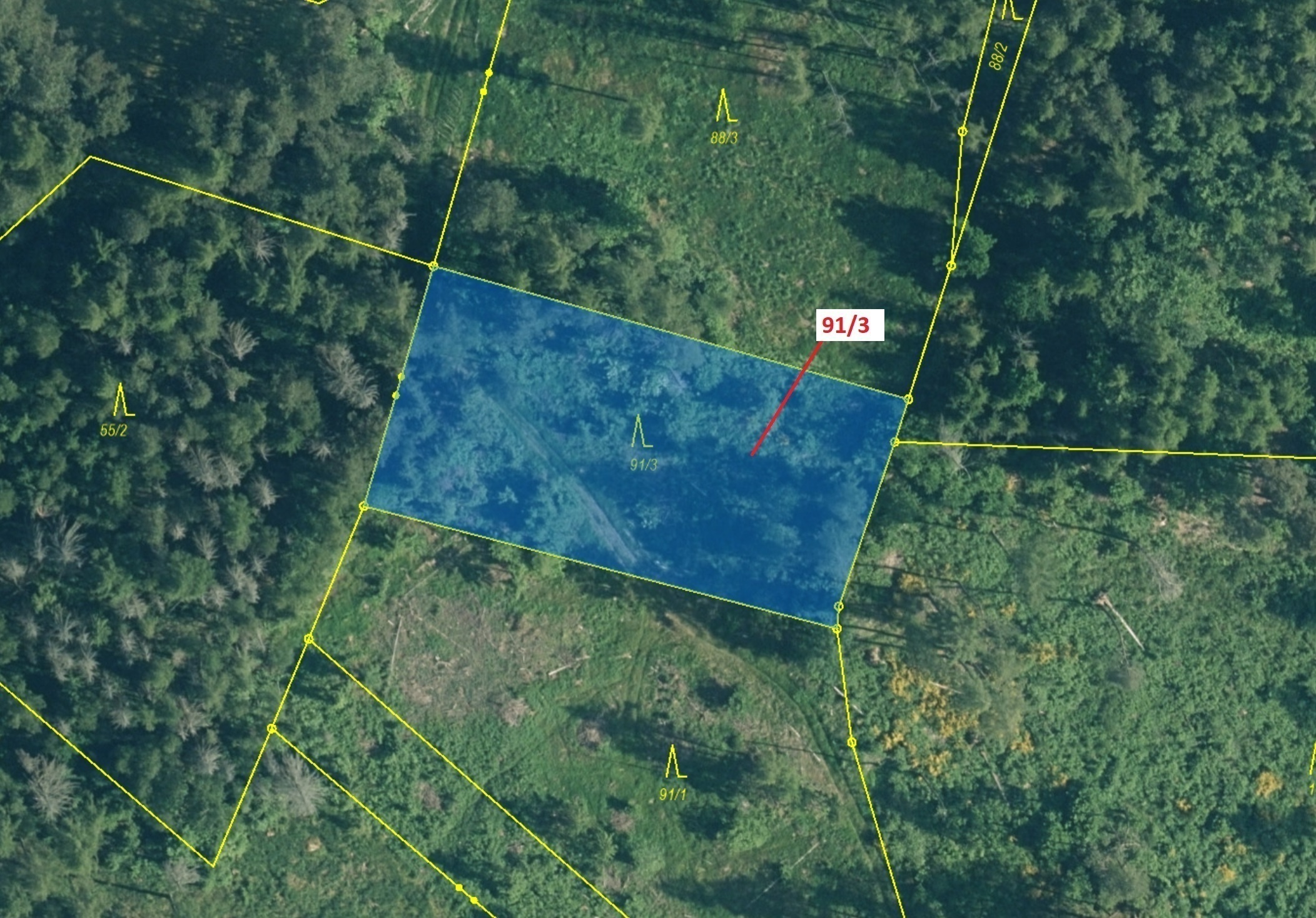 Lesní pozemek o výměře 1958 m2, podíl 1/1, katastrální území Velešice u Pačejova, obec Pačejov, obec