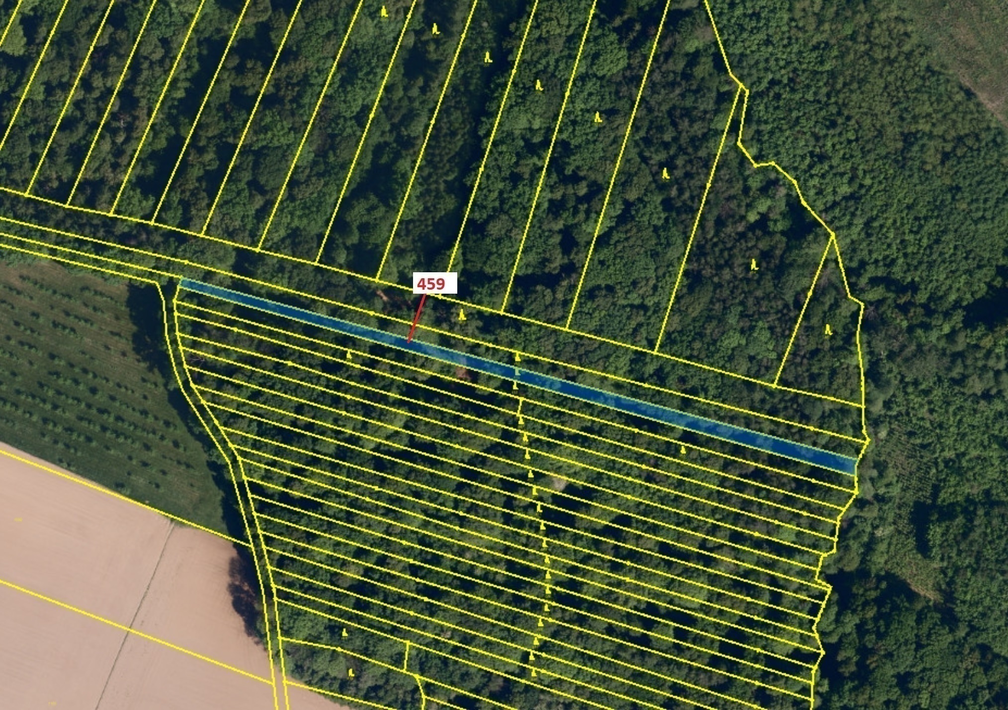 Lesní pozemek o výměře 1895 m2, podíl 1/1, katastrální území Hradčany na Moravě, obec Hradčany, obec