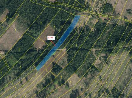 Prodej pozemku, les, 2 693 m²