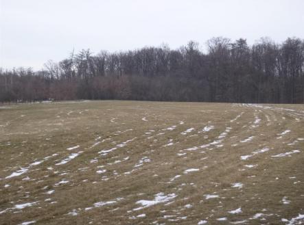 Prodej pozemku, zemědělská půda, 66 956 m²