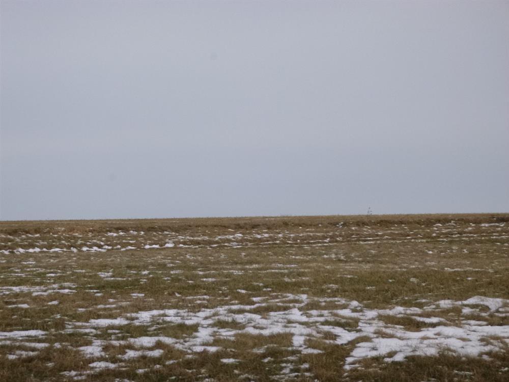 Dražba spoluvlastnického podílu ve výši 1/9 na pozemcích v obci Nová Sídla, okr. Svitavy