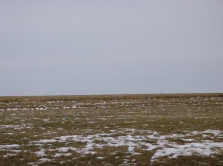 Prodej pozemku, zemědělská půda, 66 956 m²