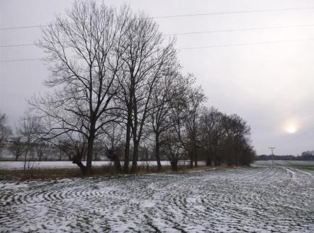 Prodej pozemku, zemědělská půda, 66 956 m²