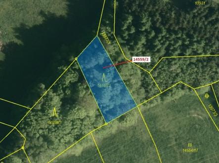 Prodej pozemku, les, 605 m²