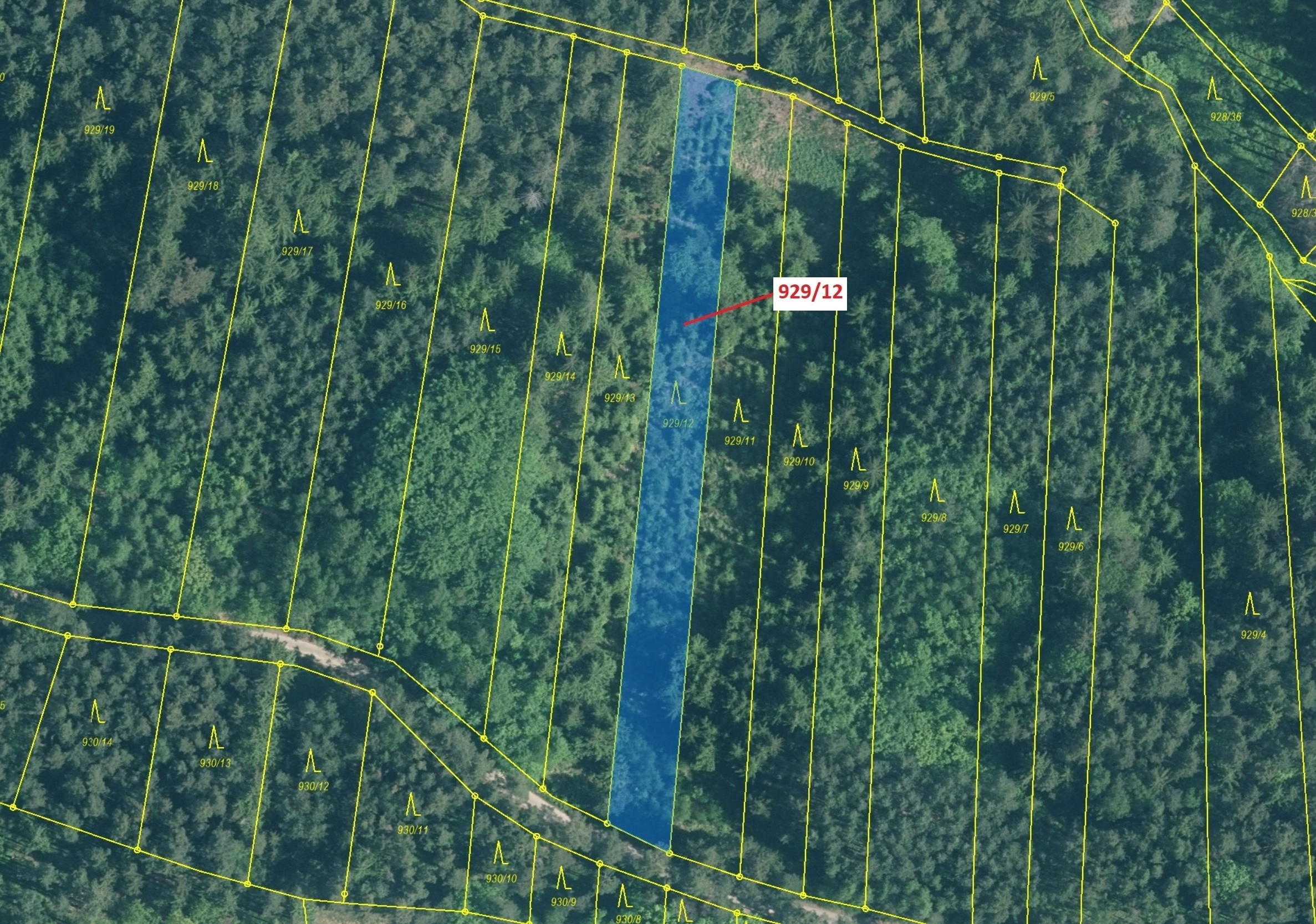 Lesní pozemek o výměře 1517 m2, podíl 1/1, katastrální území Hosty, obec Hosty, obec s rozšířenou pů