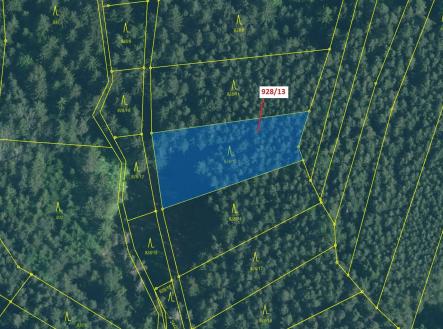 Prodej pozemku, les, 1 803 m²