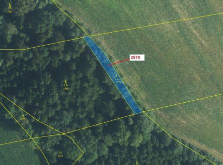 Prodej pozemku, les, 447 m²