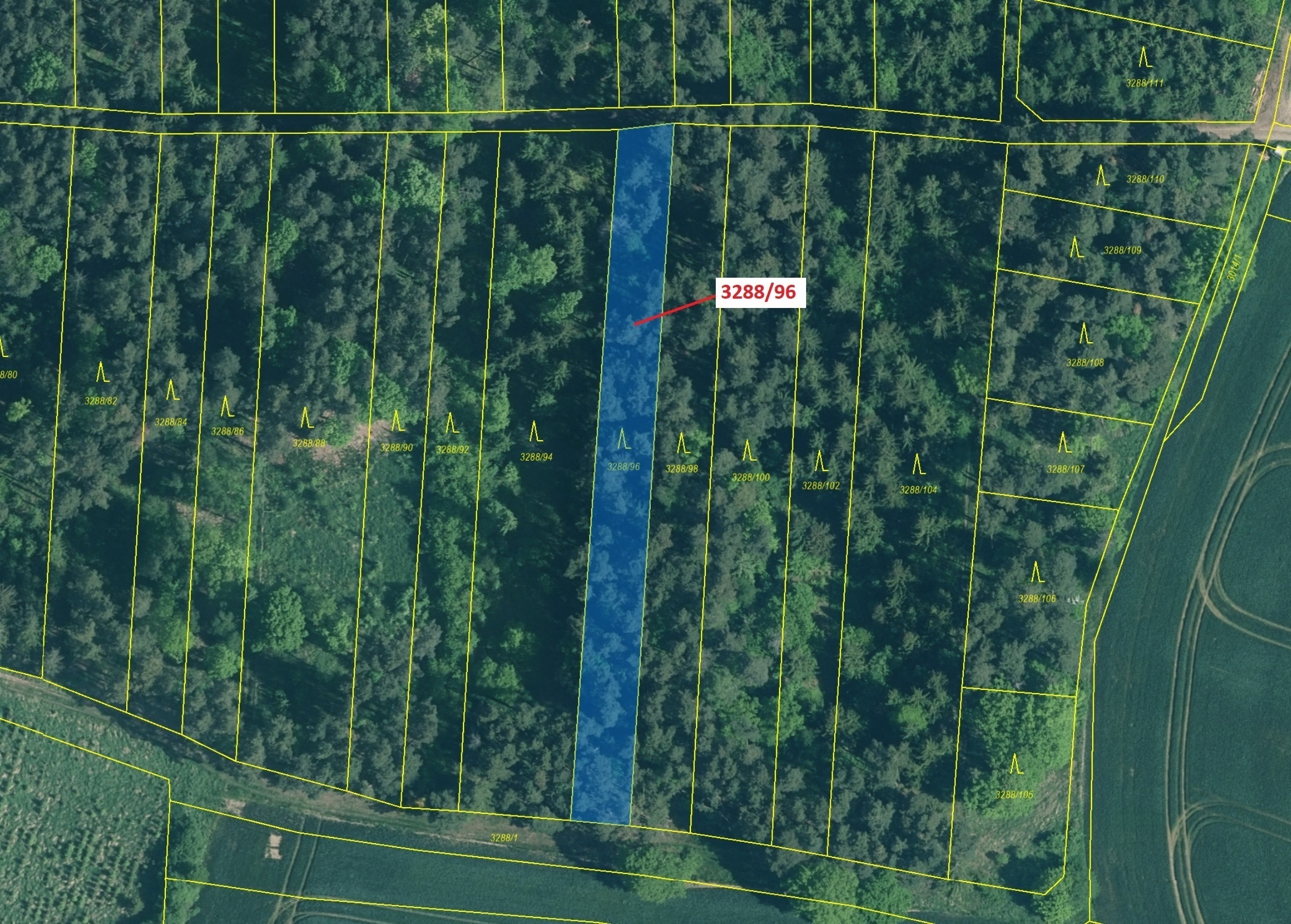 Lesní pozemek o výměře 1630 m2, podíl 1/1, katastrální území Hosty, obec Hosty, obec s rozšířenou pů