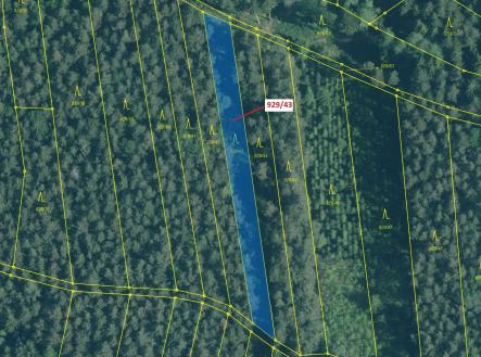 Prodej pozemku, les, 1 258 m²