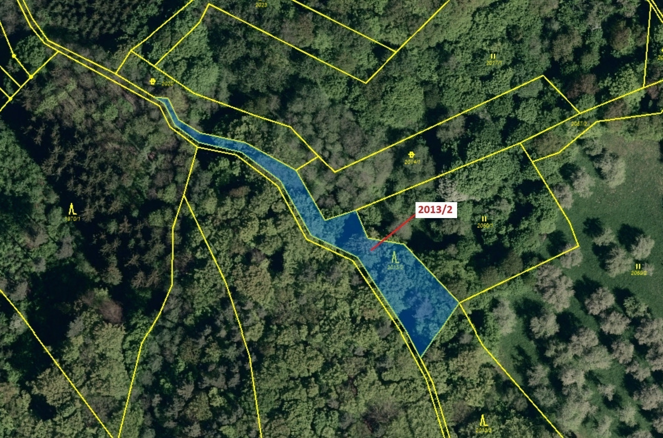 Lesní pozemek o výměře 1363 m2, podíl 1/1, katastrální území Slopné, obec Slopné, obec s rozšířenou 