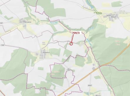 Prodej pozemku, les, 301 m²