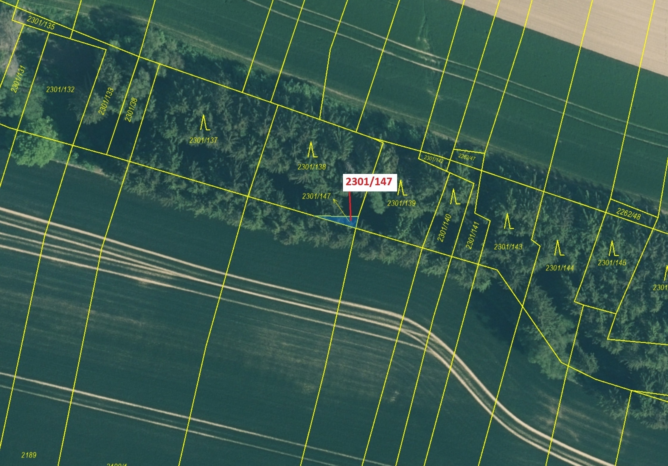 Lesní pozemek o výměře 19 m2, podíl 1/1, katastrální území Hosty, obec Hosty, obec s rozšířenou půso