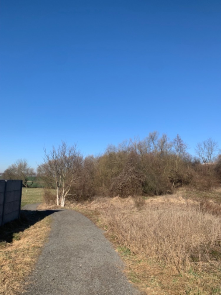 Pozemek o velikosti 1631m2, Brandýs nad Labem, opakovaná dražba