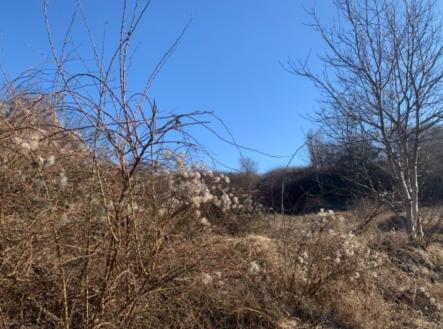 Prodej pozemku, ostatní, 1 631 m²