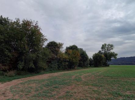 Prodej pozemku, les, 10 110 m²