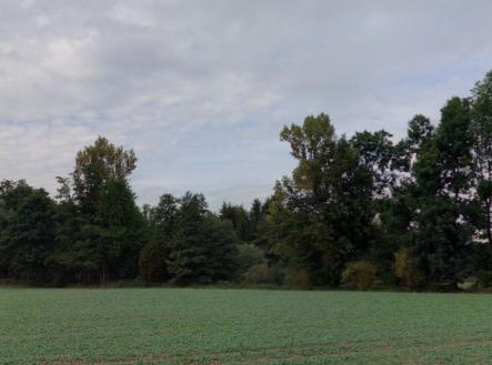 Prodej pozemku, les, 10 110 m²