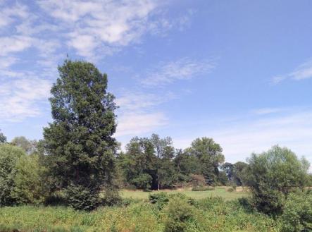 Prodej pozemku, les, 10 110 m²