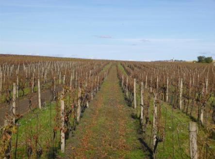 Prodej pozemku, ostatní, 1 672 m²