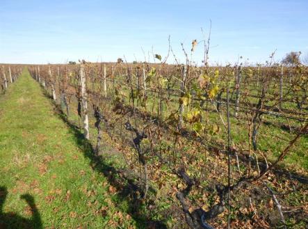 Prodej pozemku, ostatní, 1 672 m²