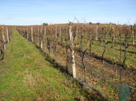 Prodej pozemku, ostatní, 1 672 m²