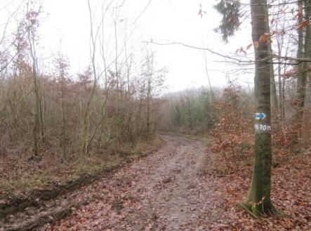 Prodej pozemku, zemědělská půda, 2 164 m²