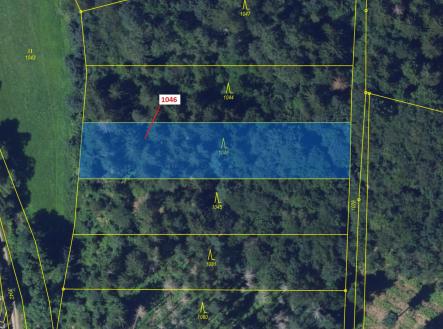 Prodej pozemku, les, 2 432 m²