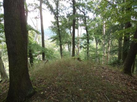 Prodej pozemku, trvalý travní porost, 14 517 m²