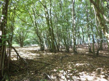 Prodej pozemku, trvalý travní porost, 14 517 m²