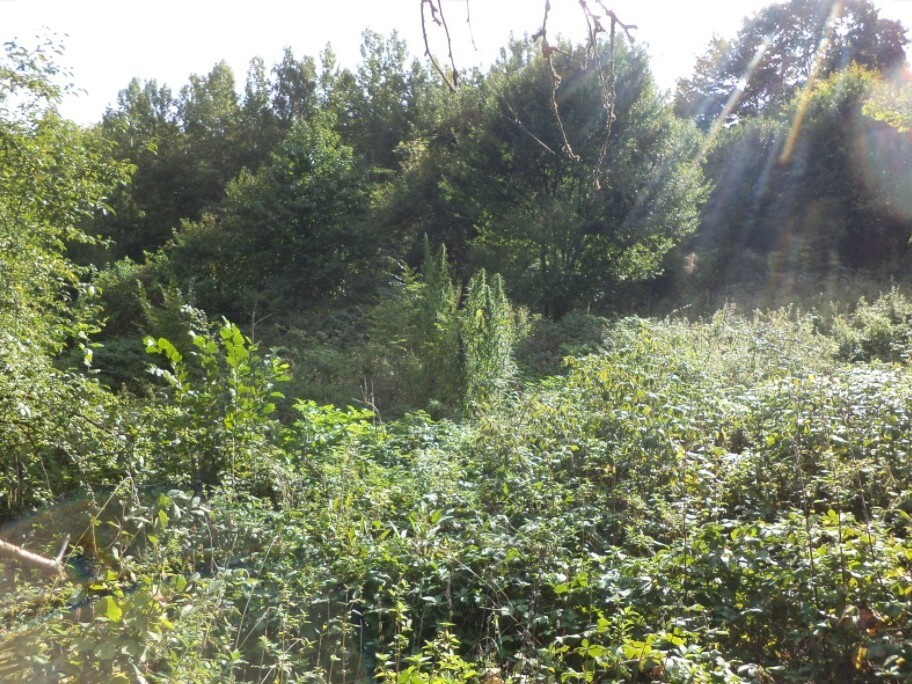 Pozemek o velikosti 14517m2, Malé Březno nad Labem