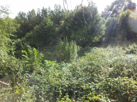 Prodej pozemku, trvalý travní porost, 14 517 m²