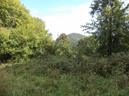 Prodej pozemku, trvalý travní porost, 14 517 m²