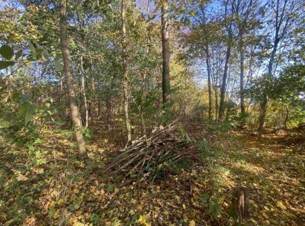 Prodej pozemku pro bydlení, 1 043 m²