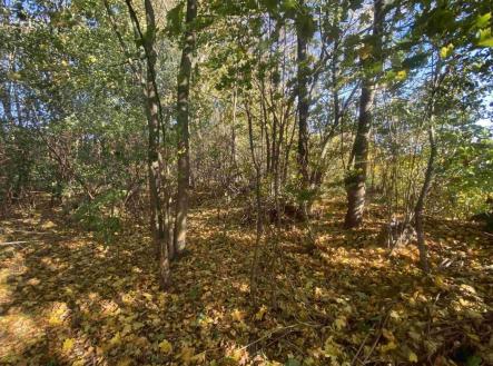 Prodej pozemku pro bydlení, 1 043 m²