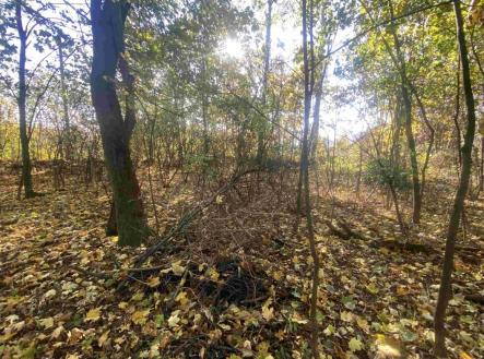 Prodej pozemku pro bydlení, 1 043 m²