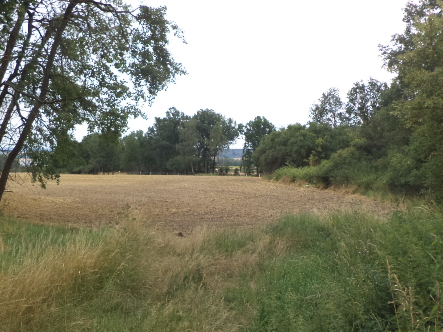 Stavební pozemek o velikosti 1100m2, Vlkýš