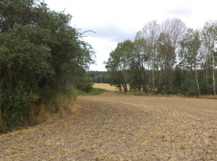 Prodej pozemku pro bydlení, 1 100 m²