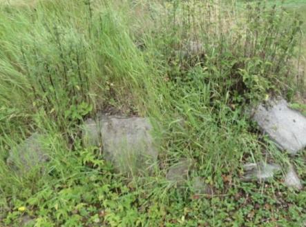 Prodej pozemku, ostatní, 3 388 m²