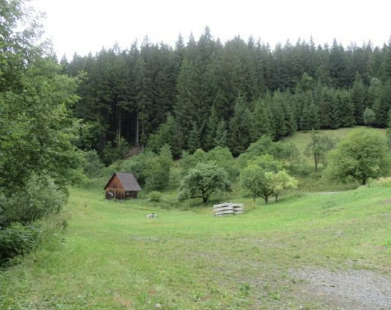 Pozemky o velikosti 24946m2, Velké Karlovice