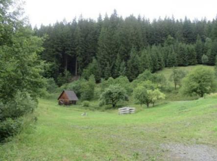 Prodej pozemku, trvalý travní porost, 24 946 m²