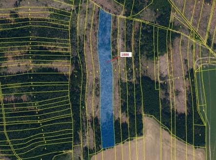 Prodej pozemku, les, 19 314 m²