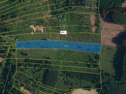 Prodej pozemku, les, 7 796 m²