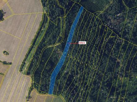 Prodej pozemku, les, 5 465 m²