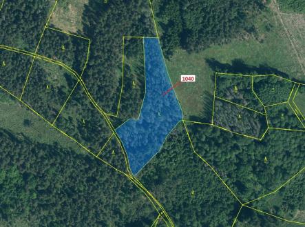 Prodej pozemku, les, 6 519 m²