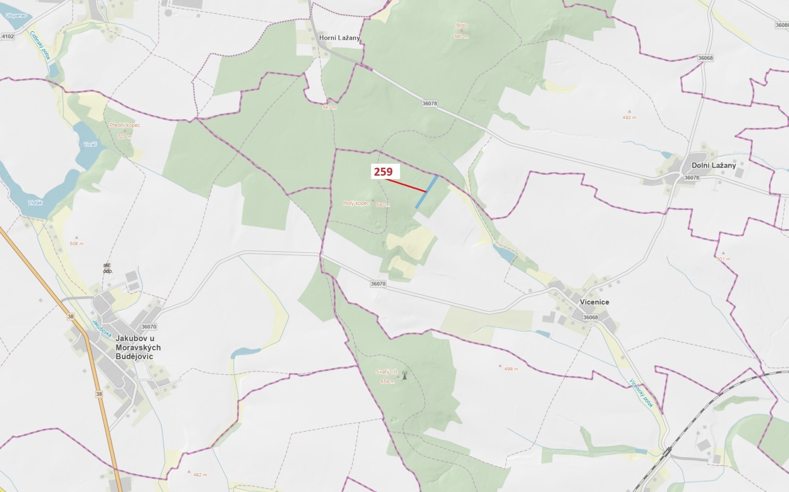 Lesní pozemek o výměře 6 645 m2, podíl 1/1, katastrální území Vícenice u Dolních Lažan, obec Vícenic