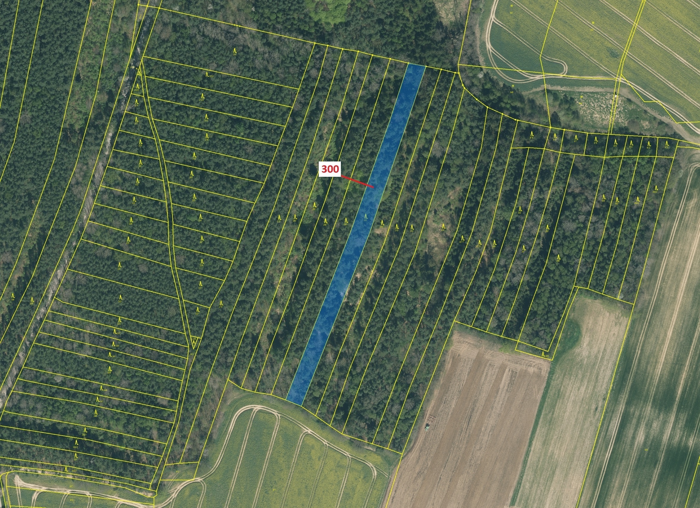 Lesní pozemek o výměře 5196 m2, podíl 1/1, katastrální území Mokrá u Soběslavi, obec Vesce, obec s r