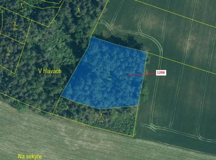 Prodej pozemku, les, 3 718 m²