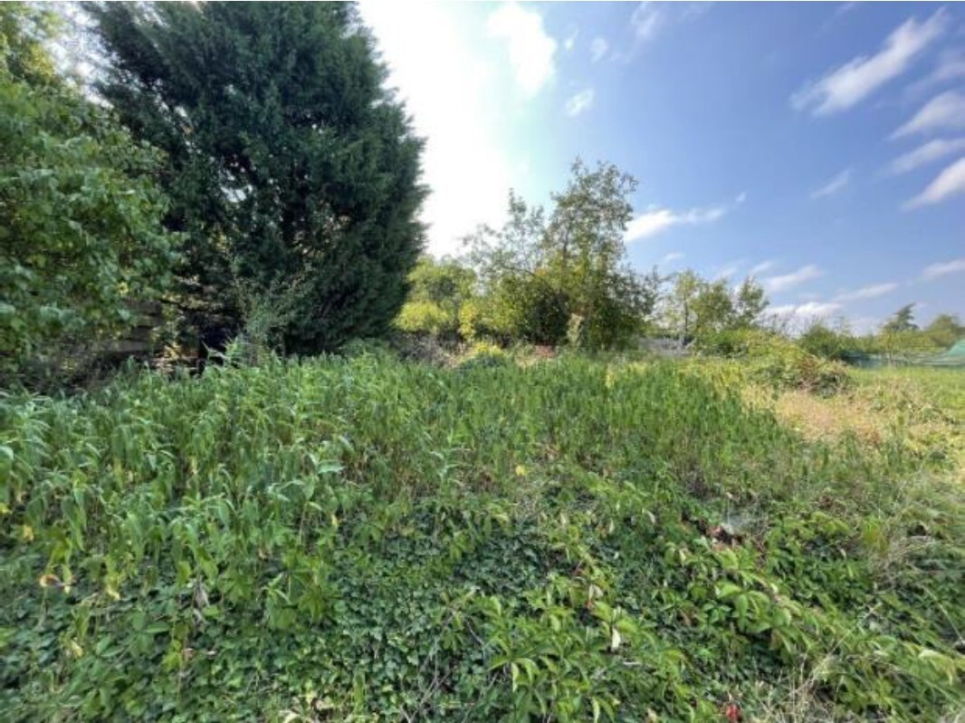 Rodinný dům, Přerov, podíl 1/2