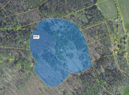 Prodej pozemku, les, 32 925 m²