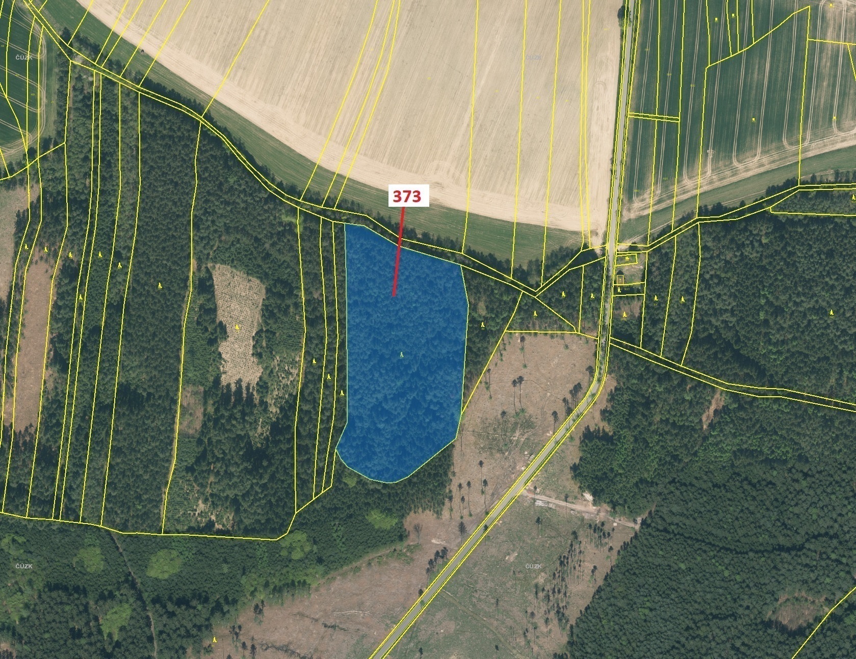 Lesní pozemek o výměře 25 608 m2, podíl 1/1, katastrální území Kajetín, obec Choustník, obec s rozší