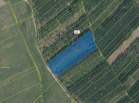 Prodej pozemku, les, 12 481 m²